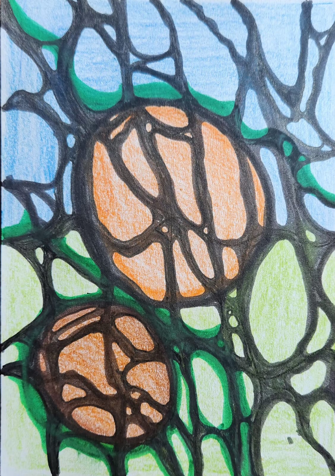 Dibujo ARP de Beatriz: líneas negras, círculos y colores verdes, azules y naranjas